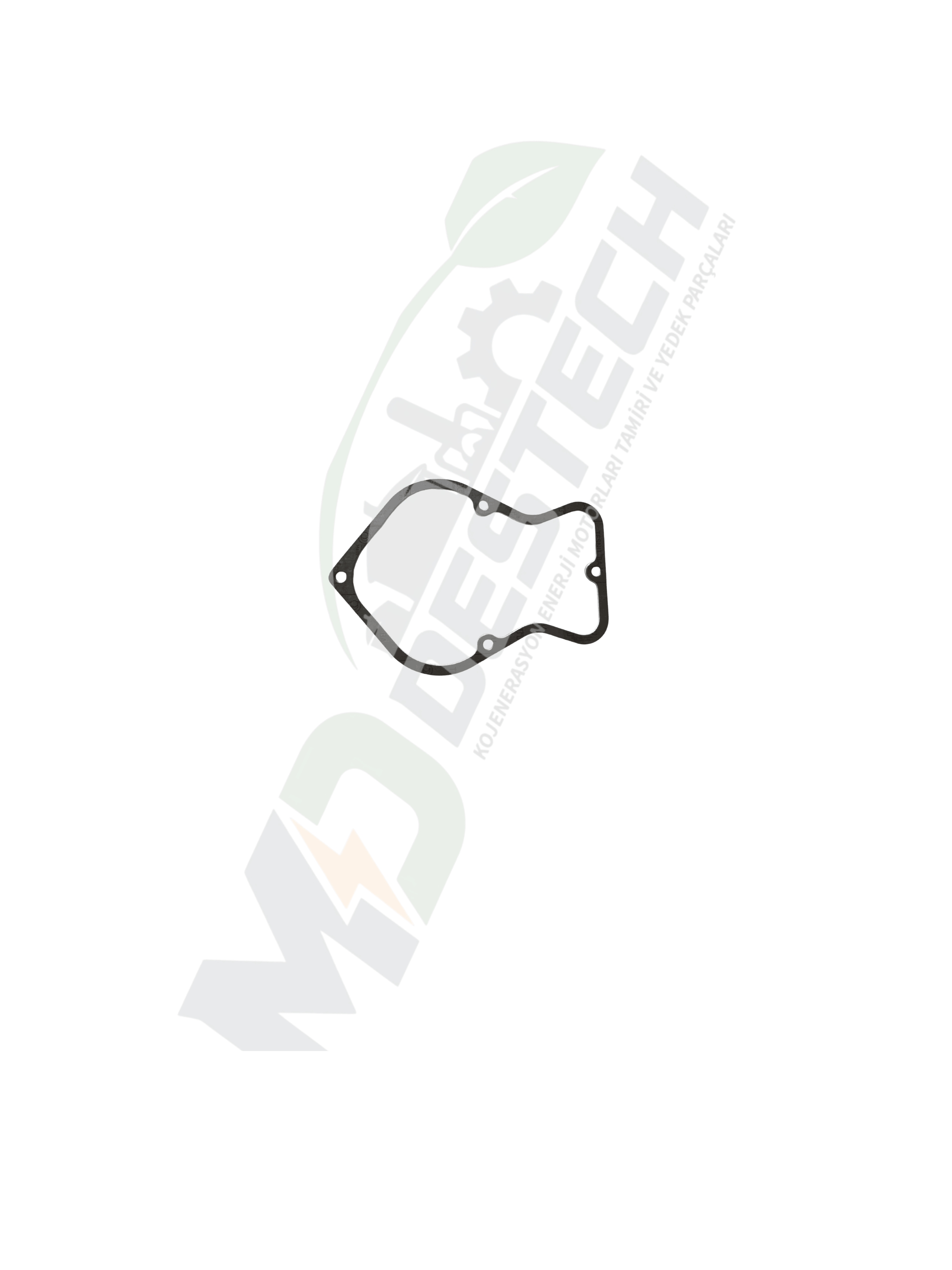 MWM TCG 2020 v12 12032892 GASKET CONTA
