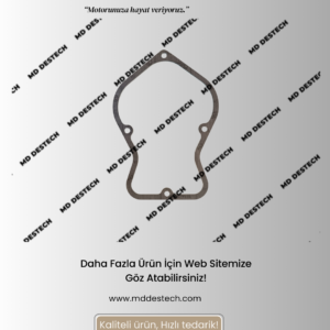 12032892 TCG 2020 V 12